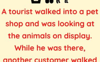 A tourist walked into a pet shop