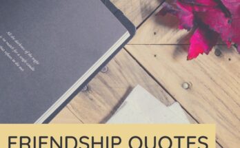 Friendship Quotes Your Best Friend Will Love