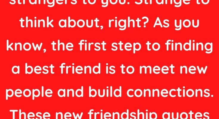 New Friendship Quotes for Building Connections