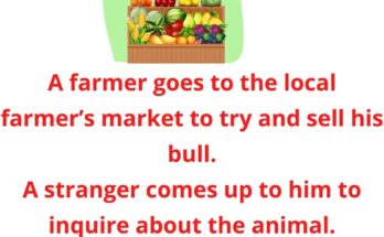 A Farmer Goes To The Local Farmer's Market