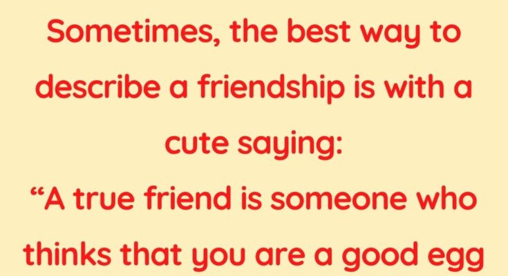 Cute Friendships Quotes