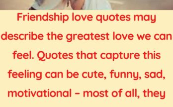 Friendship Love Quotes How Much You Care