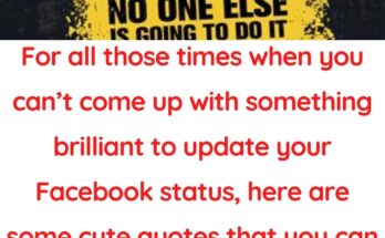 Get Maximum Likes With These Cute Facebook Quotes