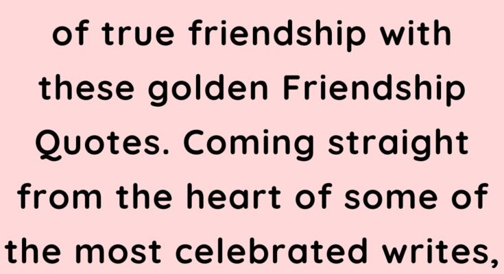Top 10 Friendship Day Quotes