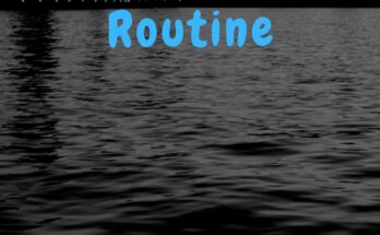 The Psychology Of Daily Routine