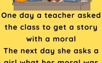 One day a teacher asked the class