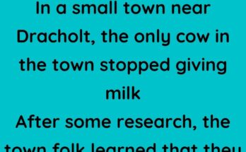 The only cow in the town stopped giving milk