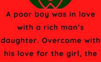 A poor boy was in love with a rich man’s daughter