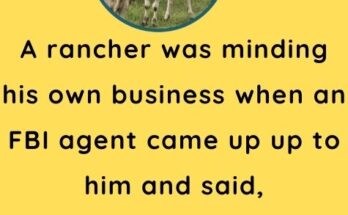 A rancher was minding his own business