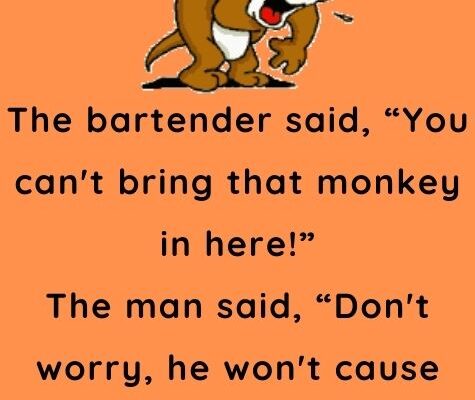 The bartender let him and the monkey stay