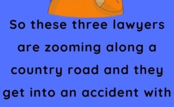 Three lawyers are zooming along a country