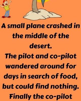 A small plane crashed in the middle of the desert