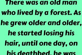 An old man who lived by a forest