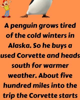 A penguin grows tired of the cold winters in Alaska