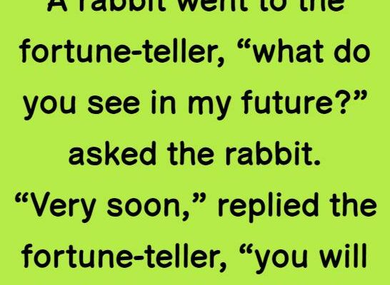 A rabbit went to the fortune
