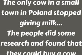 The Only Cow Stopped Giving Milk