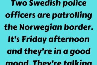 Two Swedish police officers