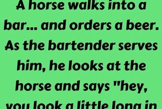 A horse walks into a bar
