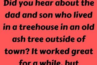 A dad and son lived in a treehouse