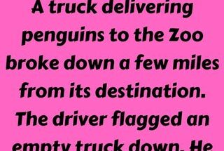 A truck delivering penguins to the Zoo