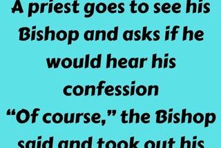 A priest goes to see his Bishop