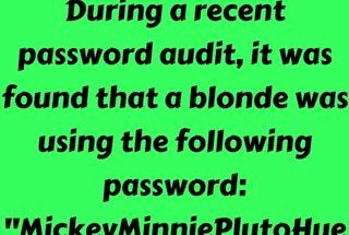 Password audit