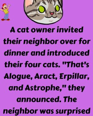 A cat owner invited