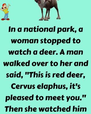 A woman stopped to watch a deer