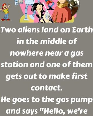 Two aliens land on Earth