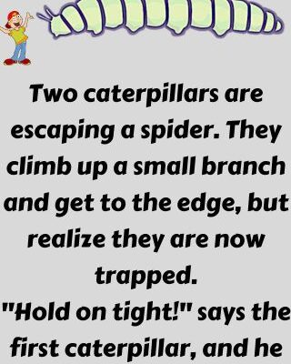 Two caterpillars are escaping a spider