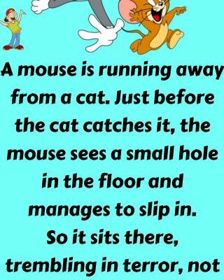 A mouse is running away from a cat