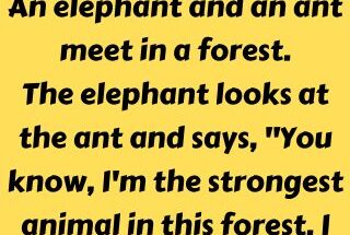 An elephant and an ant meet in a forest