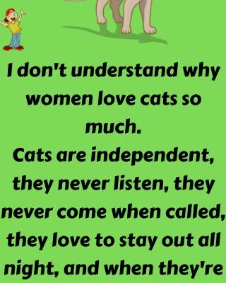 I don't understand why women love cats