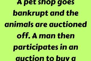 A pet shop goes bankrupt