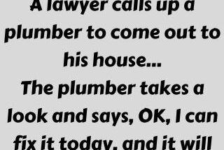 A lawyer calls up a plumber