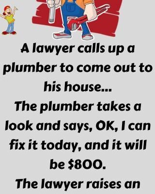 A lawyer calls up a plumber