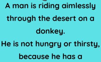 A man is riding desert on a donkey